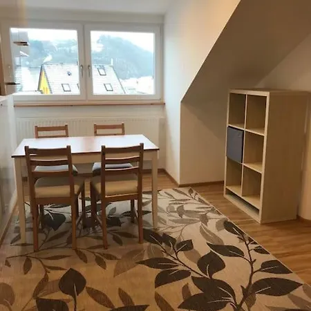 Apartment Ferienwohnung In Wiesent-gerne Handwerker/monteure *