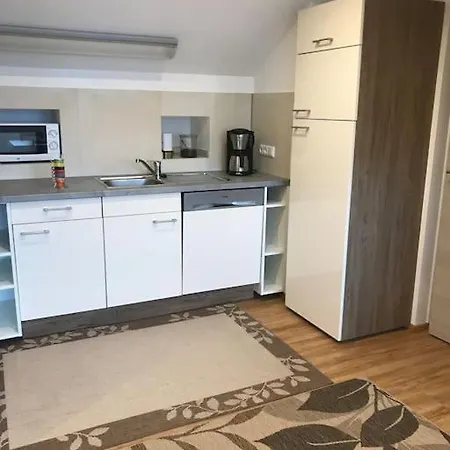 Apartment Ferienwohnung In Wiesent-gerne Handwerker/monteure Wiesent
