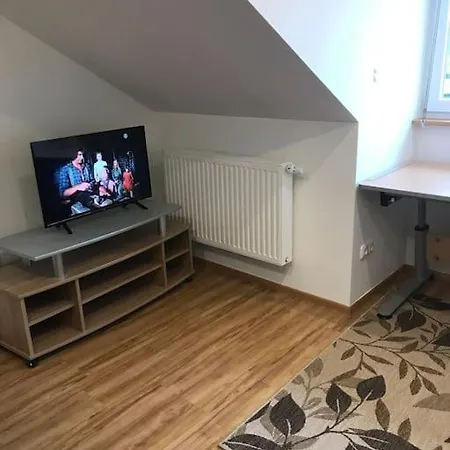 Ferienwohnung In Wiesent-gerne Handwerker/monteure