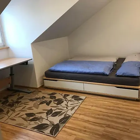 Ferienwohnung In Wiesent-gerne Handwerker/monteure Apartment Wiesent